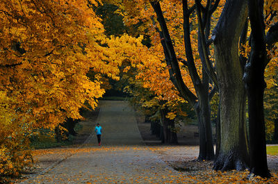 Man walking by trees during autumn