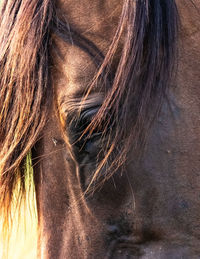 Close-up portrait of woman