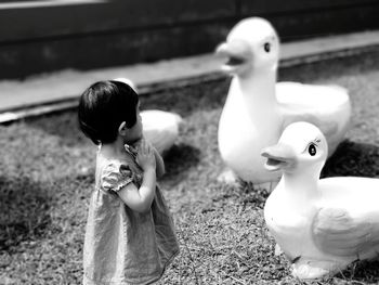 High angle view of girl by duck statues at park