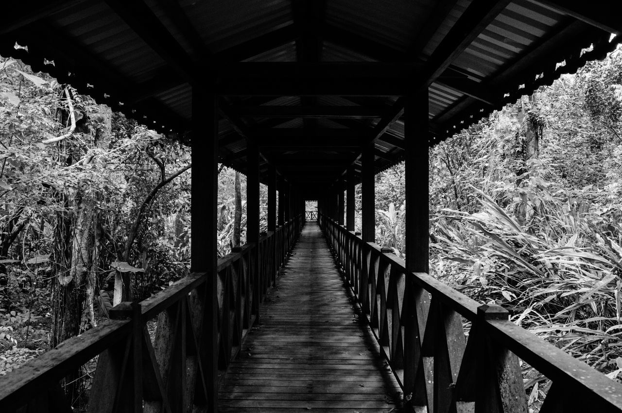 architecture, the way forward, direction, built structure, bridge, tree, no people, plant, railing, bridge - man made structure, day, nature, indoors, connection, diminishing perspective, wood - material, land, forest, ceiling, footbridge, long