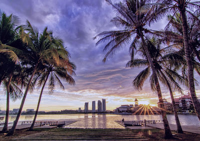 Palm trees at riverbank against cloudy sky at sunset