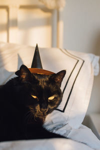 Black cat lounging in tiny black witch hat