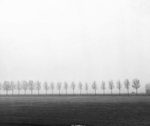 Scenic view of field against clear sky