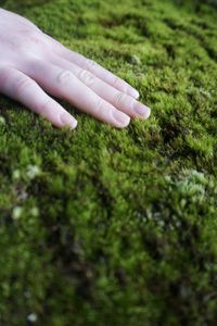 Close-up of woman hand on grass field