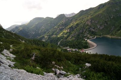 High angle view of trees on mountain by sea