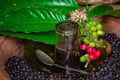 High angle view of fruit on table