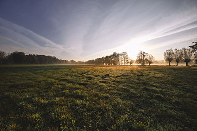 Scenic view of field against sky