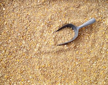 Full frame shot of grains and seeds