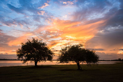 Silhouette trees on field against sky during sunset