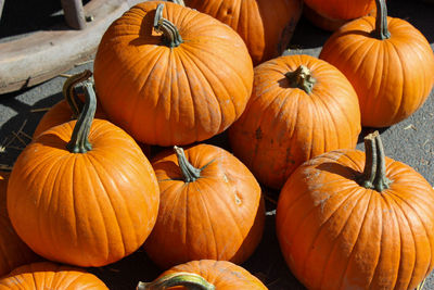 High angle view of pumpkins in market during autumn