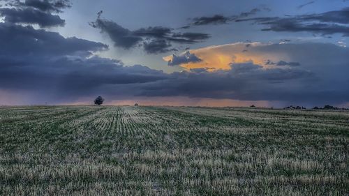 Scenic view of field against sky during sunset