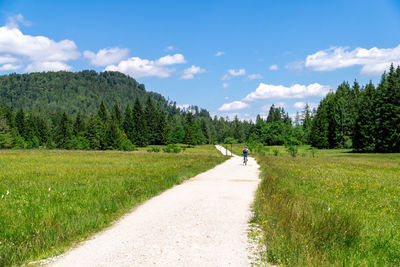 Rear view of woman on mountain bike on gravel road surrounded by blooming fields, austria.