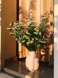 Close-up of potted plant on table