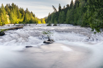 Scenic view of waterfall in forest against sky