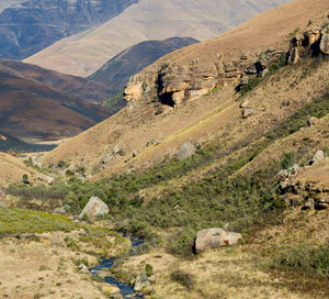 Scenic view of landscape