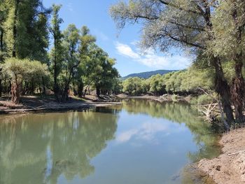 Scenic view of lake by trees against sky