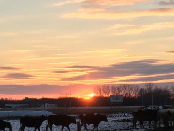 Scenic view of landscape against sky at sunset