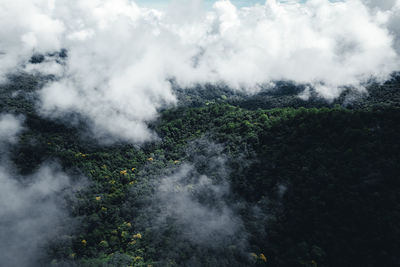 Smoke emitting from volcanic mountain