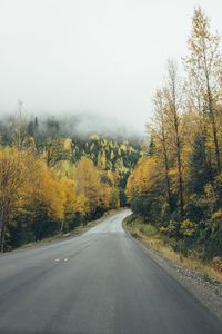 Road passing through trees