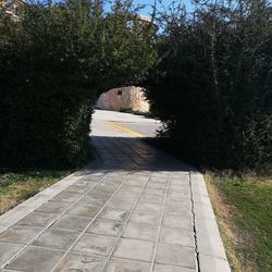 Empty footpath in park