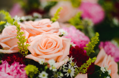 Close-up of rose bouquet