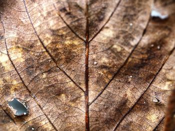 Full frame shot of cracked wood