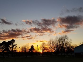 Silhouette trees on field against sky at sunset