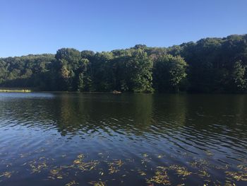 Scenic view of lake in forest against clear sky