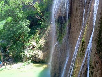 Scenic view of waterfall in forest