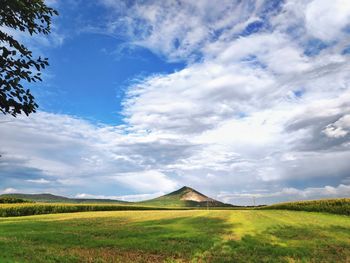 Scenic view of field against sky