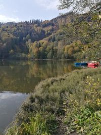 Scenic view of lake by trees against sky