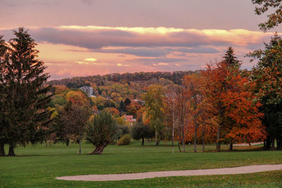 Trees on field against sky during sunset