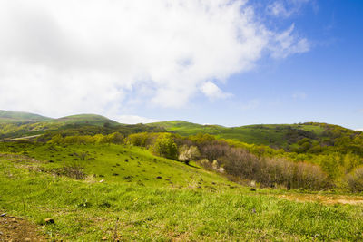 Mountain landscape in georgia. landscape from didgori road. clouds and blue sky.