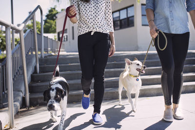 Low section of women walking with dogs on footpath during sunny day