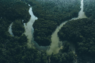 High angle view of trees and sea