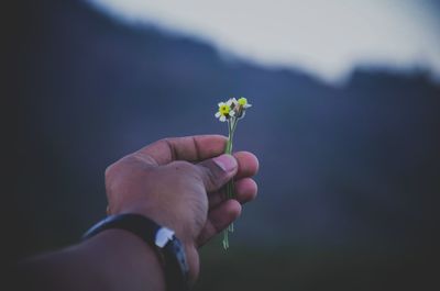 human hand