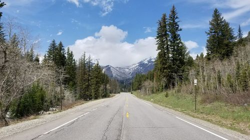 Empty road along trees and plants against sky