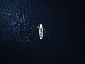 High angle view of turtle swimming in sea