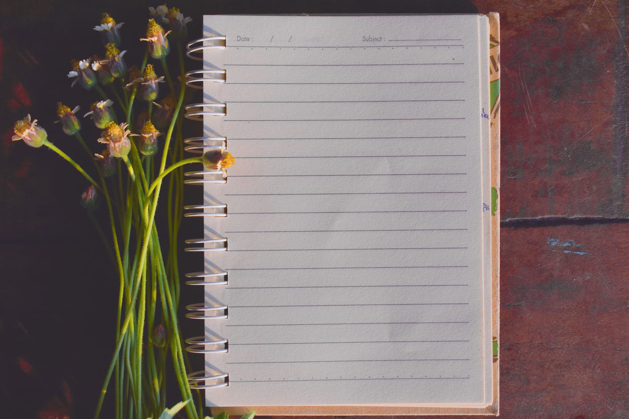 HIGH ANGLE VIEW OF WHITE FLOWERING PLANT ON OPEN BOOK