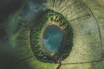 High angle view of hole on plant