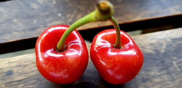 Close-up of tomatoes on table