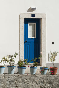 Potted plants outside house