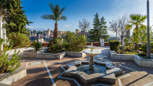 Panoramic view of palm trees against sky