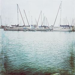 Boats moored at harbor