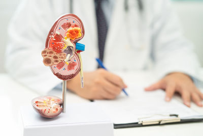 Midsection of dentist holding dentures on table