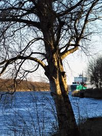 Bare tree by lake against sky during winter