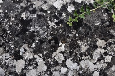 Full frame shot of rock on wall