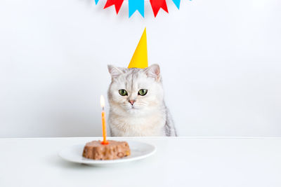 A white cat in a yellow paper cap sits at a white table and looks at a candle in a canned cat cake