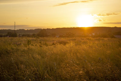 Scenic view of field against sky during sunset