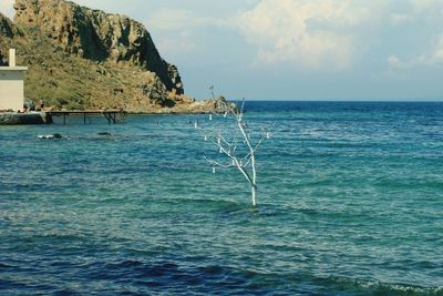 Scenic view of sea against sky